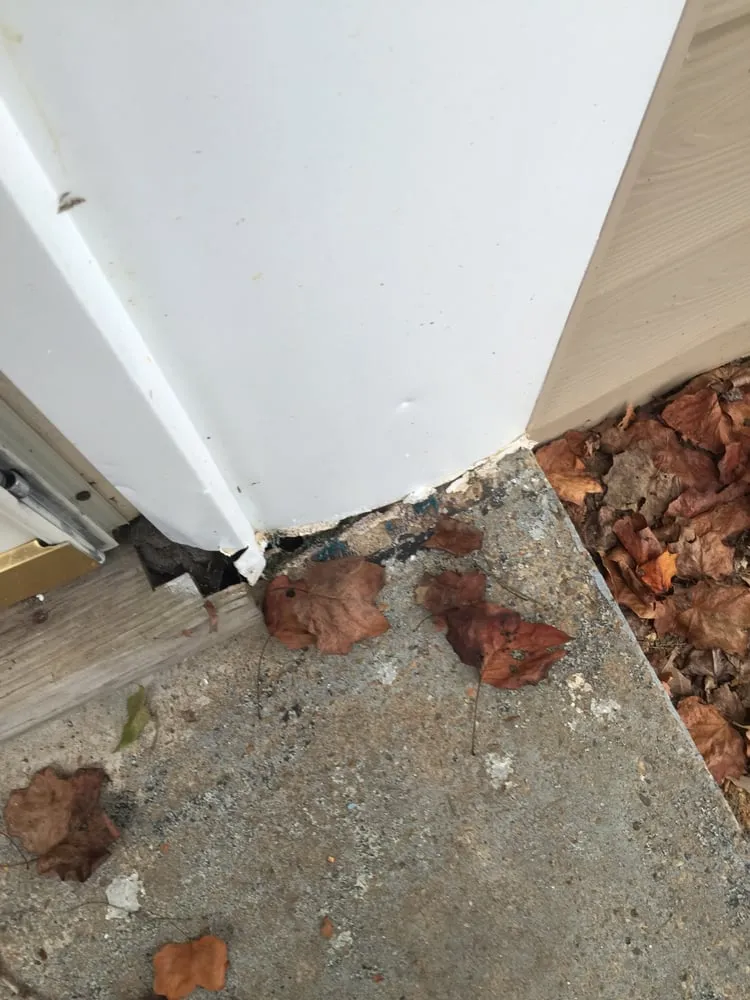 Slide of Restoration 101