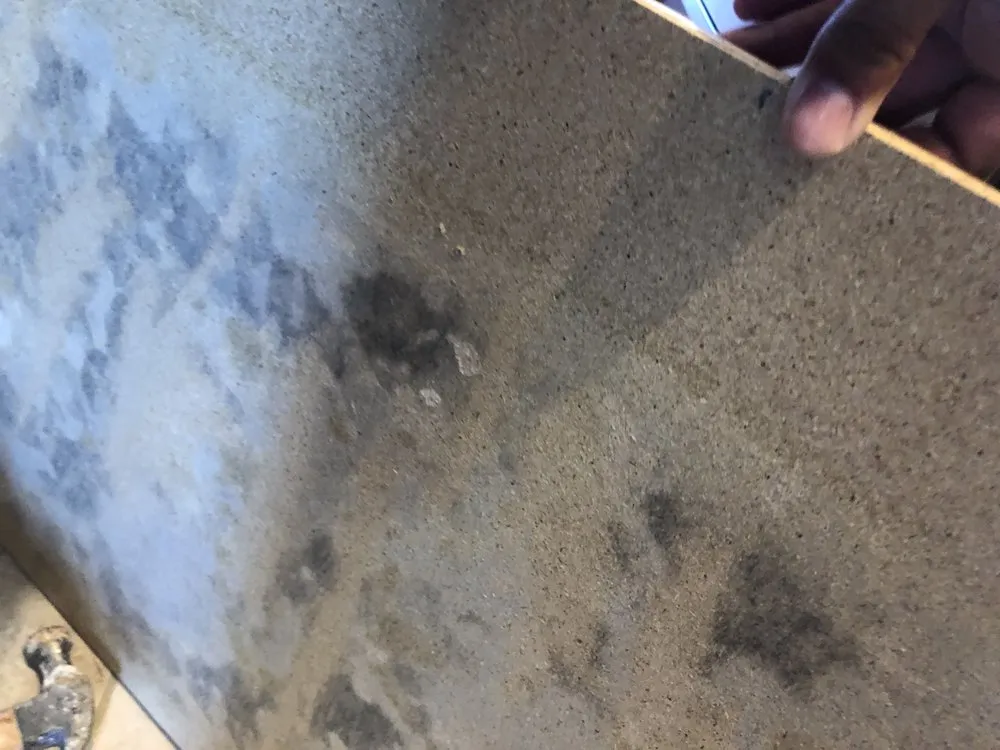 Slide of Restoration Rescue