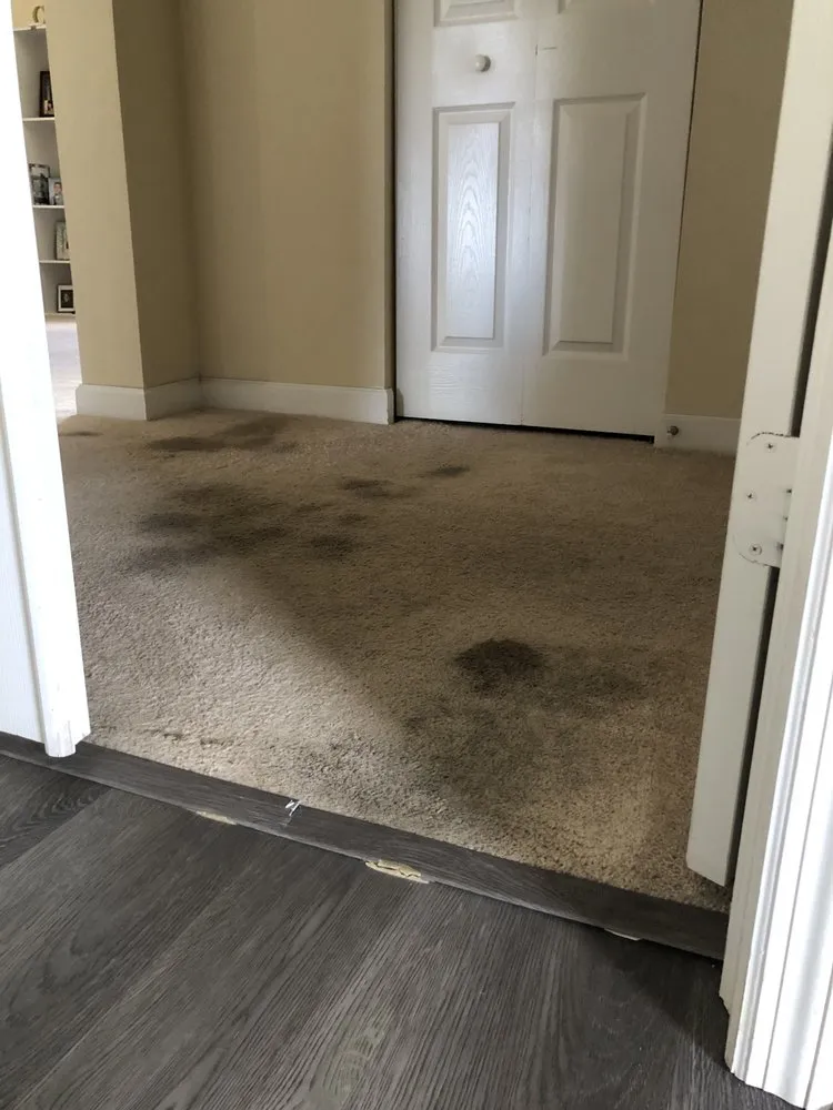 Slide of Restoration Rescue