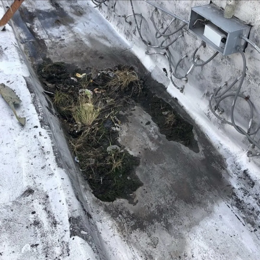 Slide of Restoration Roofing Masonary