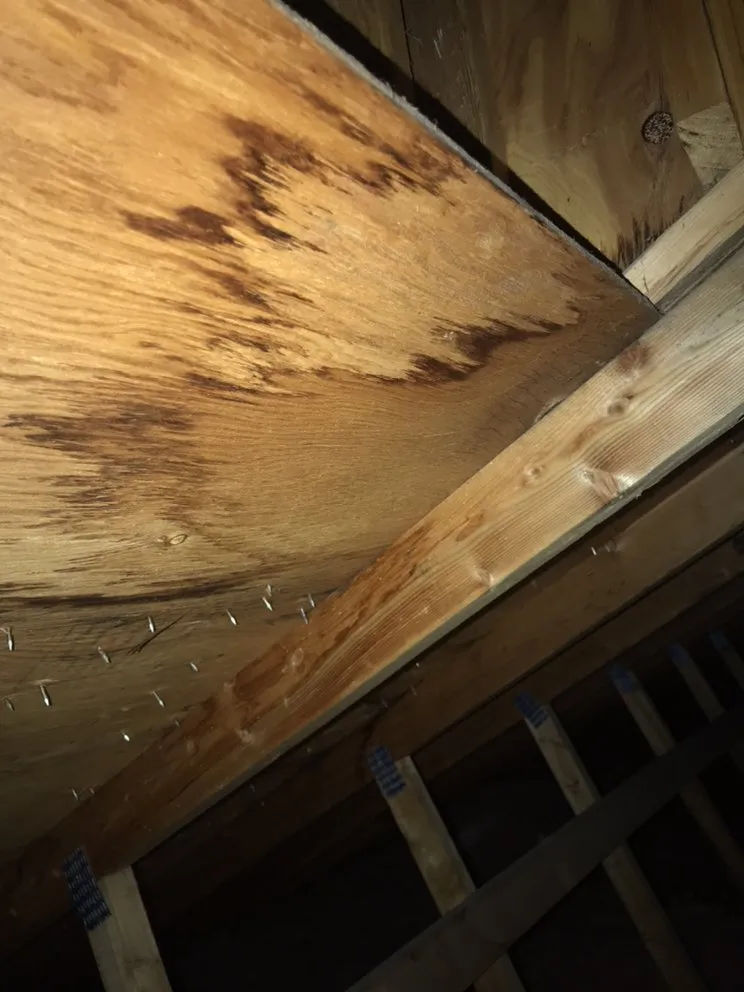 Slide of Restoration-RX