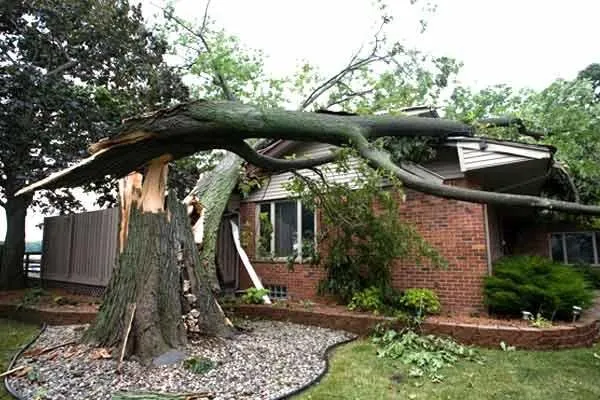 Slide of Restoration-RX