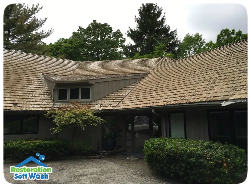 Slide of Restoration Soft Wash