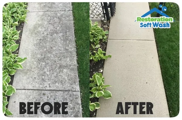 Restoration Soft Wash Logo