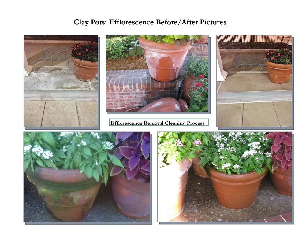 Slide of Restoration Specialists of Florida