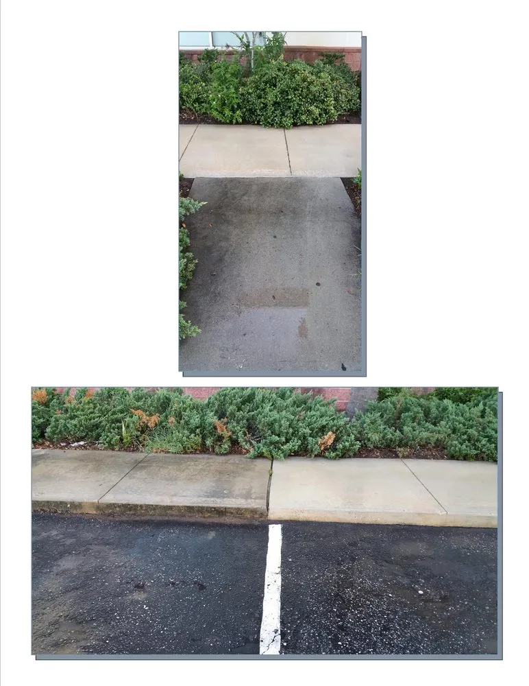 Slide of Restoration Specialists of Florida