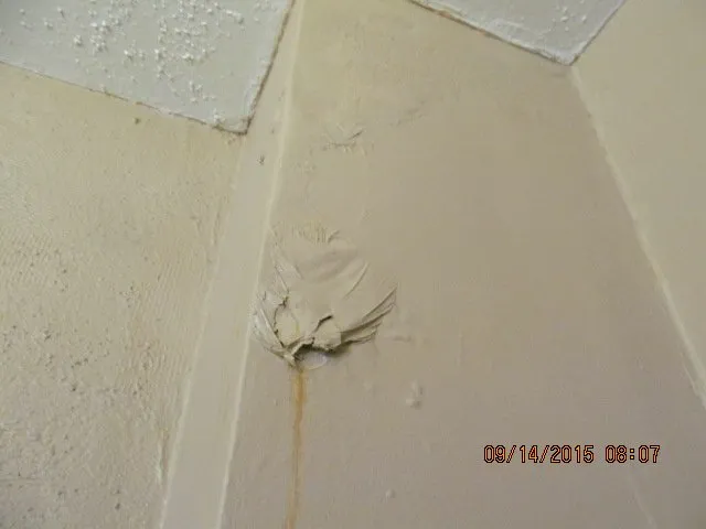 Slide of Restoration Techs