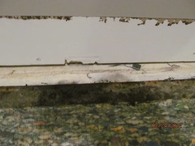 Slide of Restoration Techs