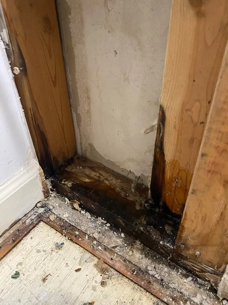 Slide of Restore Pro