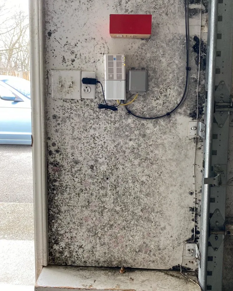 Slide of Restore Pro