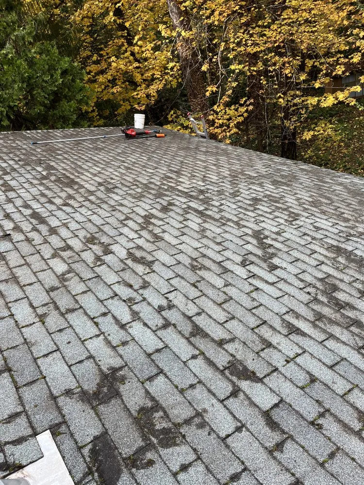 Slide of Restore Roof Cleaning
