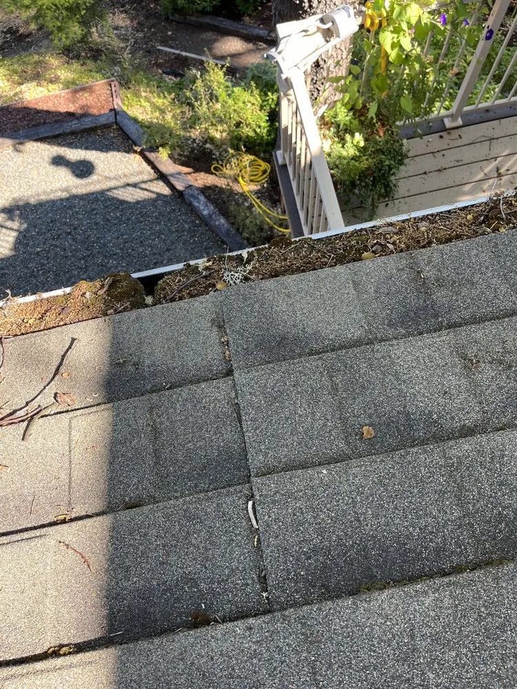 Slide of Restore Roof Cleaning
