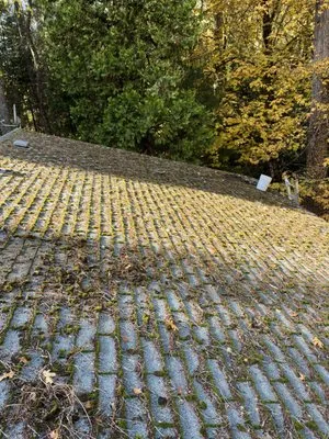 Restore Roof Cleaning Logo