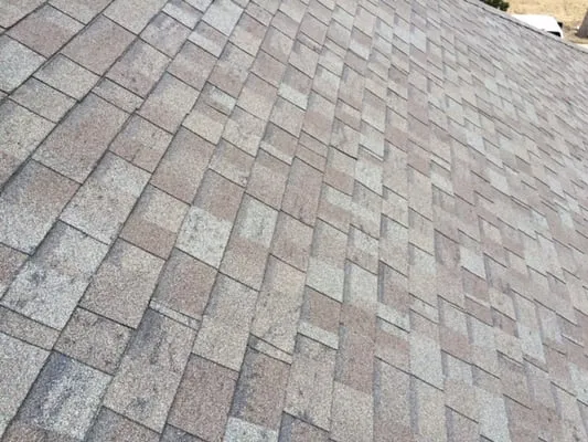 Restructure Roofing and Contracting Logo