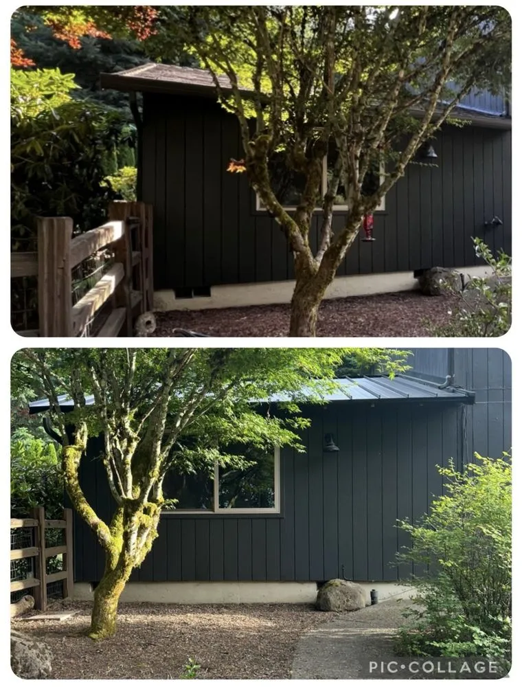 Slide of Rev Construction