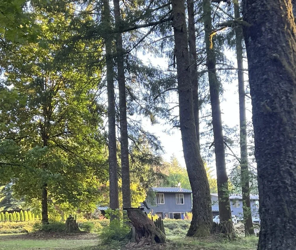 Slide of Rev Construction