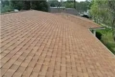 Slide of Revival construction