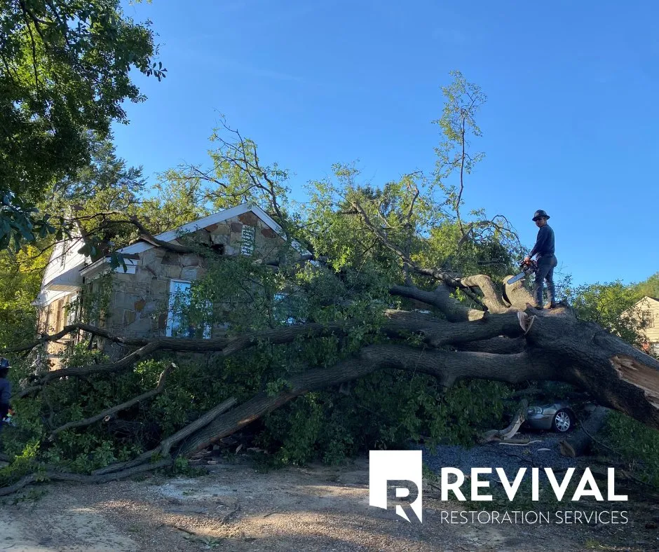 Slide of Revival Roofing Services