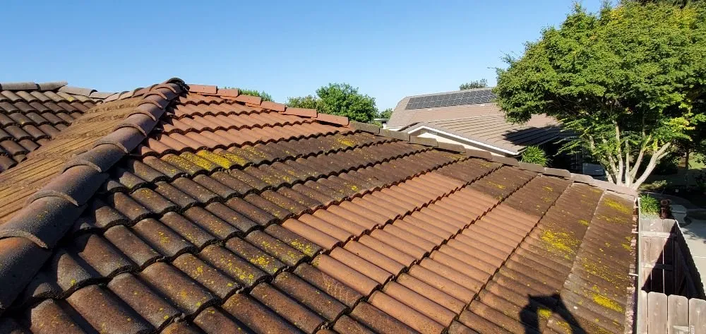 Slide of Revival Roofing