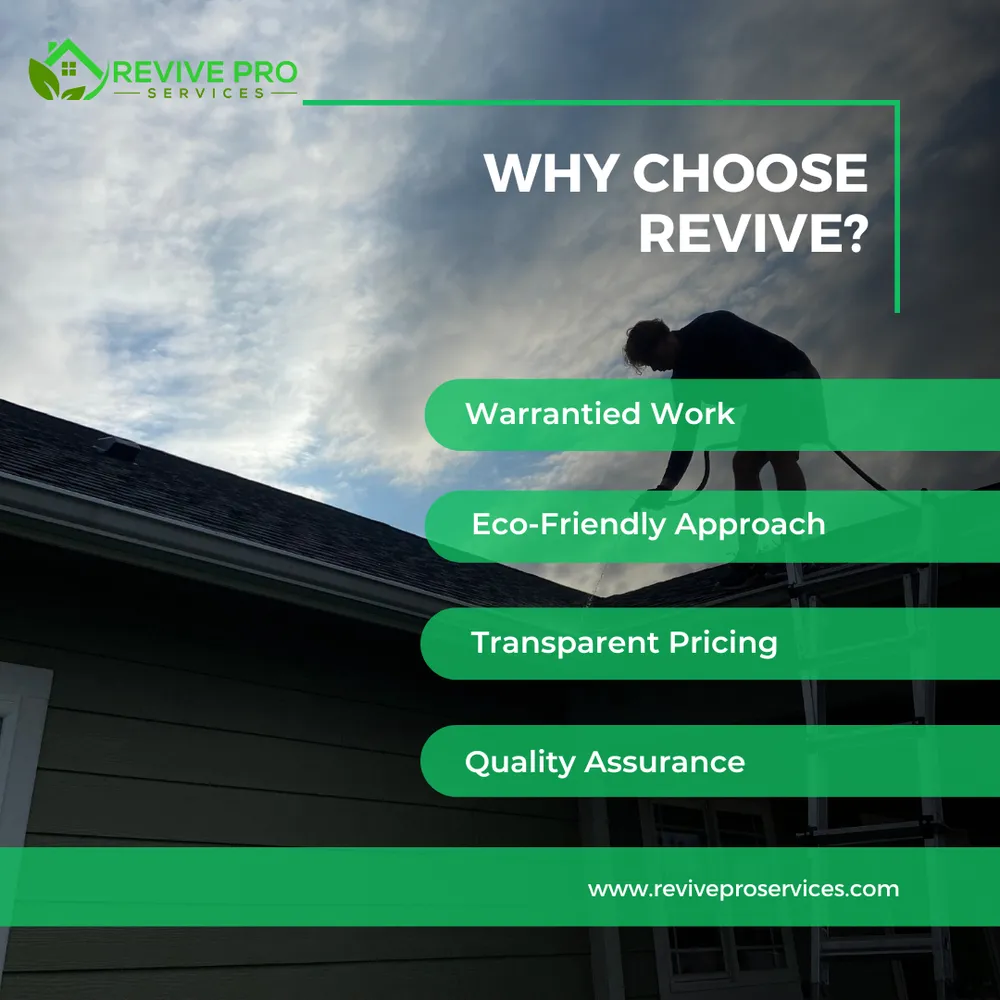 Slide of Revive Pro Services