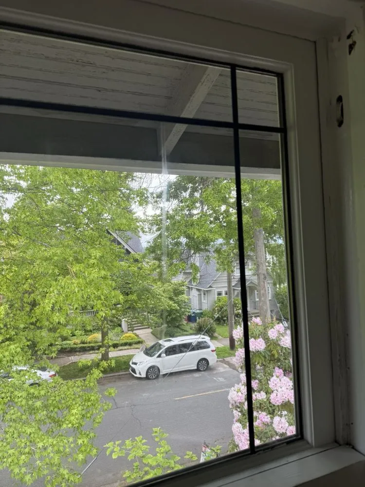 Slide of Revive Pro Services