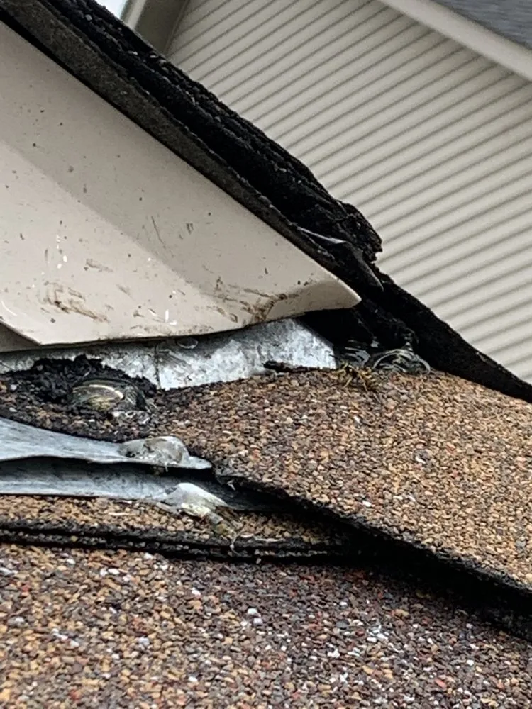 Slide of Revive Roofing and Restoration