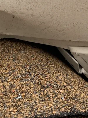 Revive Roofing and Restoration Logo