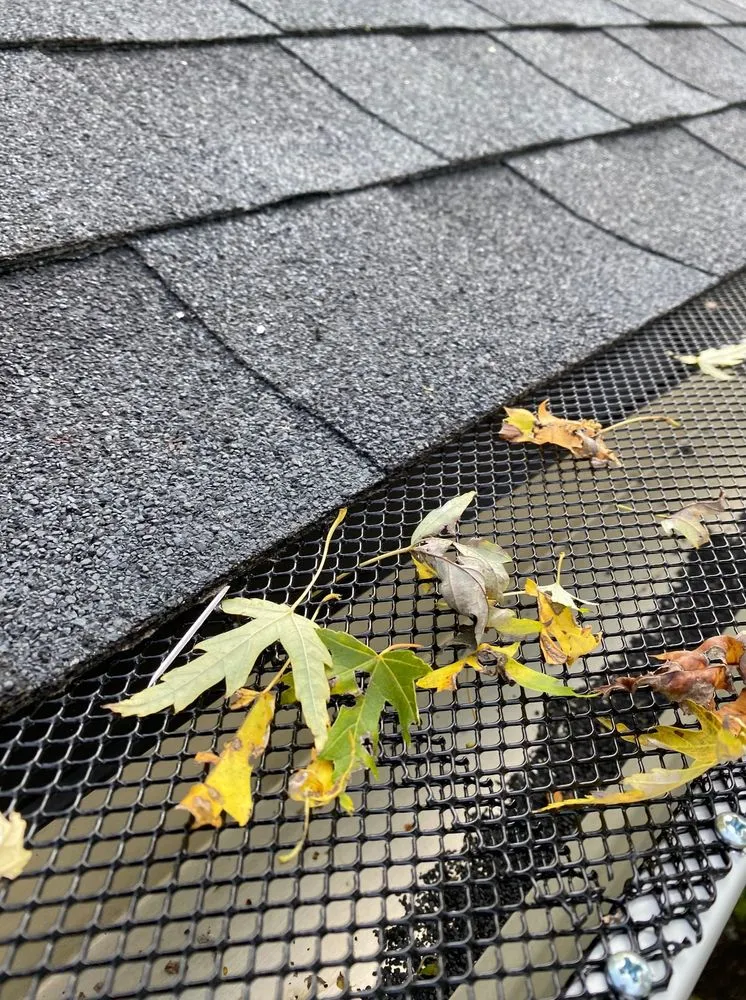 Slide of Revive Roofing