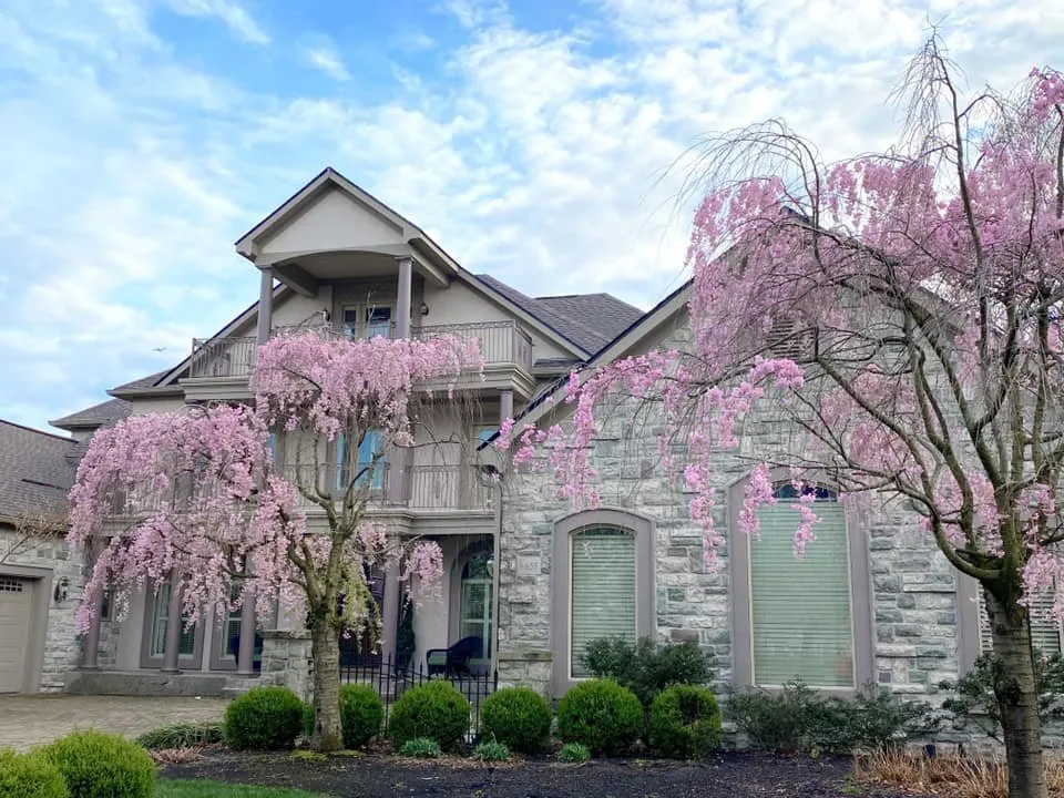 Slide of Revive Roofing