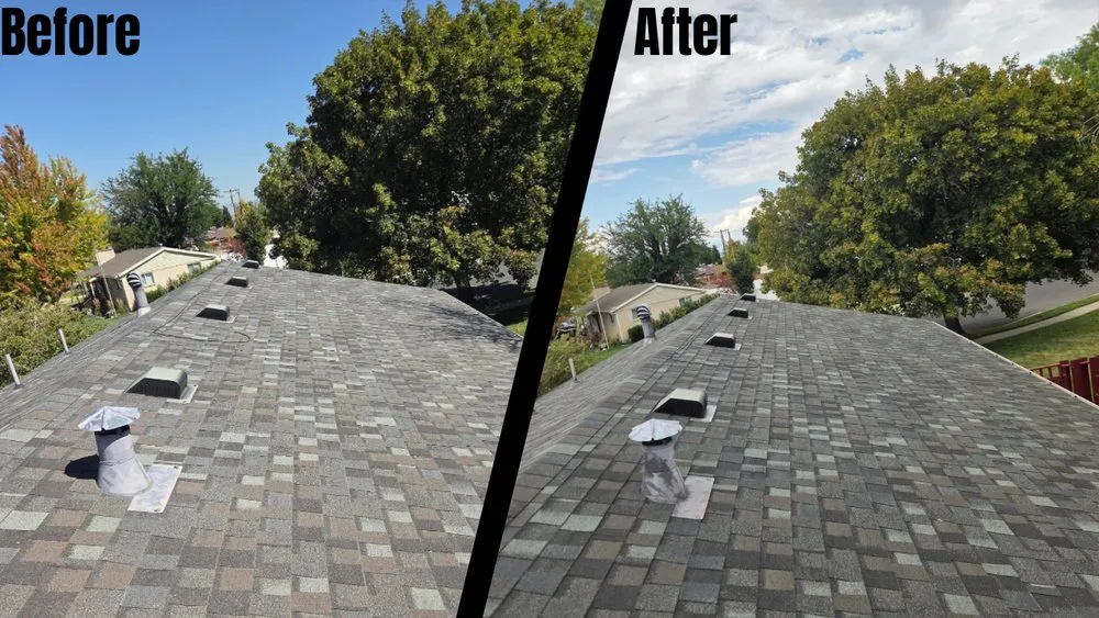 Slide of Revive Your Roof