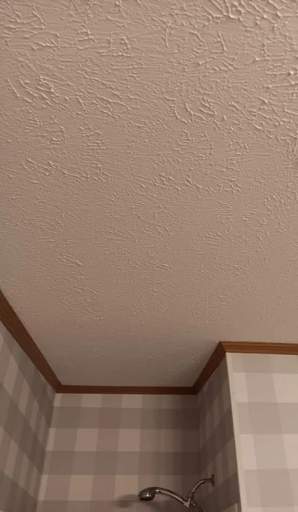 Slide of Revived Construction