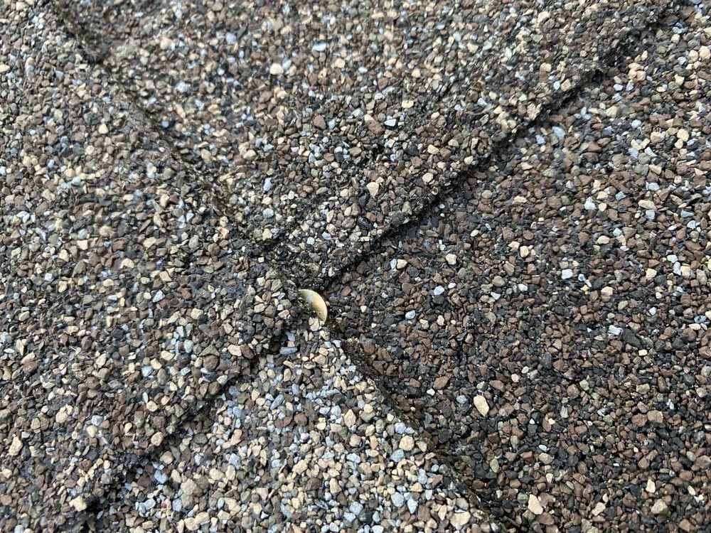 Slide of Revived Exteriors