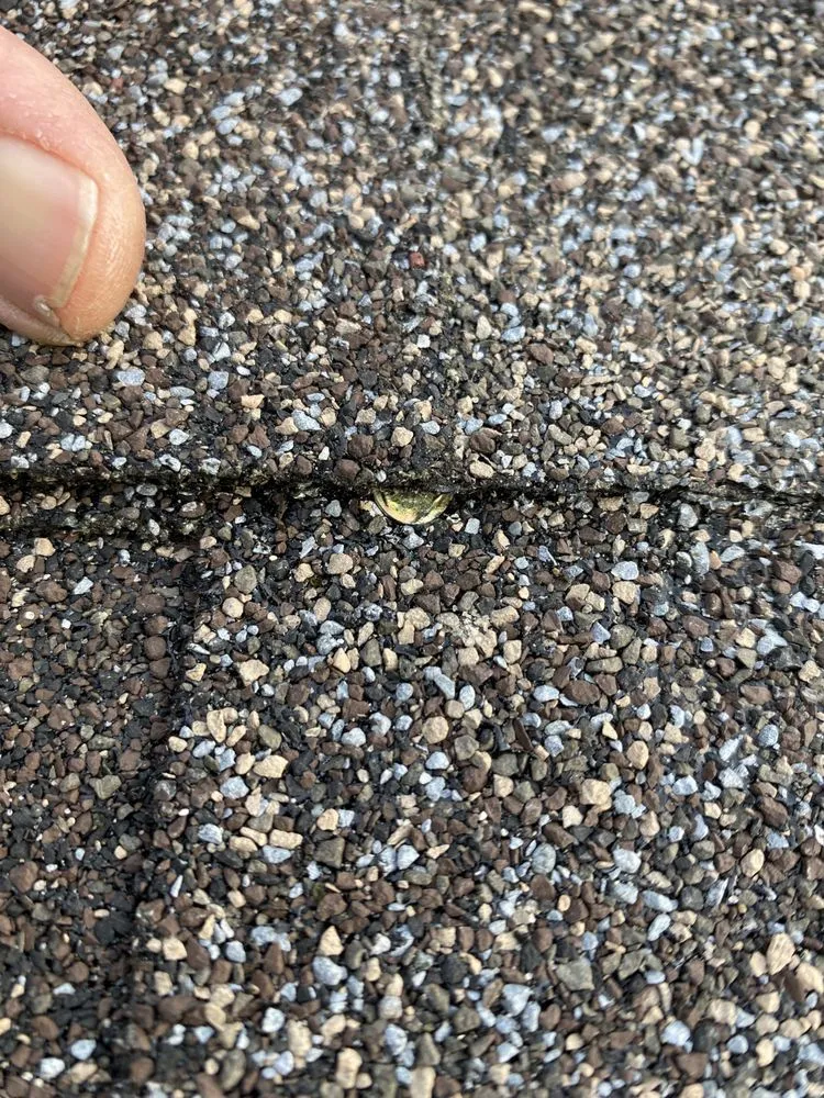 Slide of Revived Exteriors