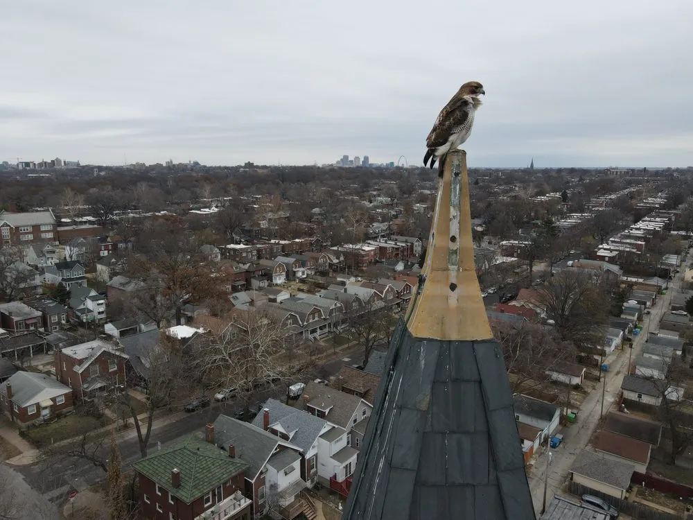 Expert storm damage roof repair in St Louis, MO - Revolve Construction