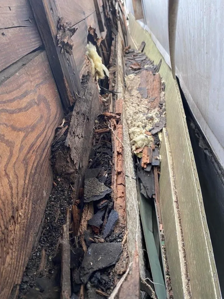 Slide of Revolve Remodeling