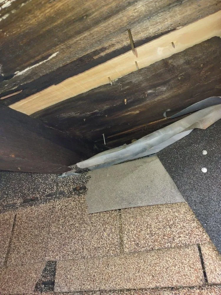 Slide of Revolve Remodeling