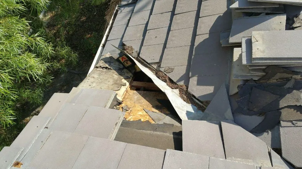 Slide of Rexway Roofing