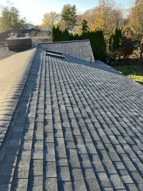 Slide of Rey Contractor