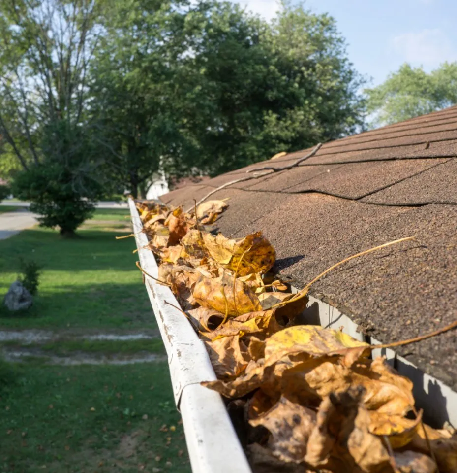 Slide of Reyna’s Renovation & Restoration