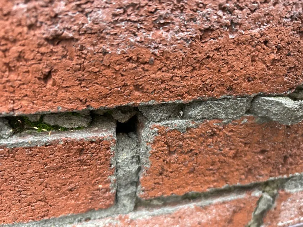 Slide of Reyna’s Renovation & Restoration