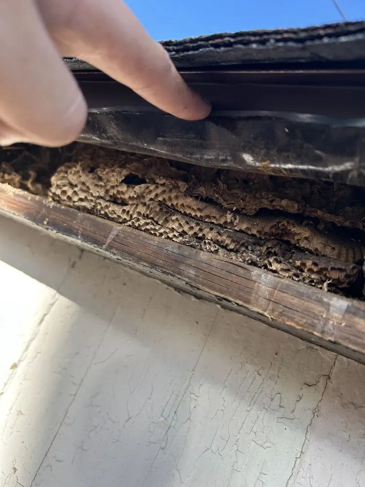 Slide of Reyna’s Renovation & Restoration