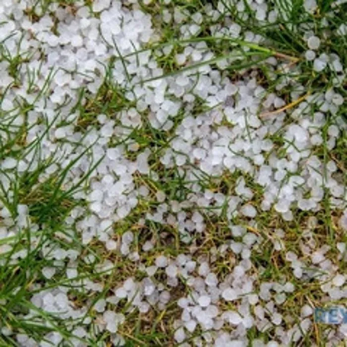 Slide of Reynolds Roofing Systems