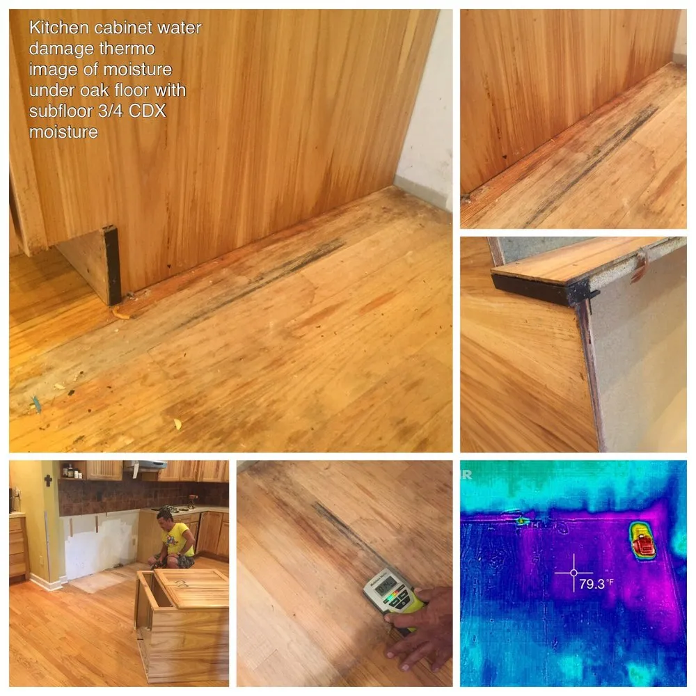 Slide of RFD Services