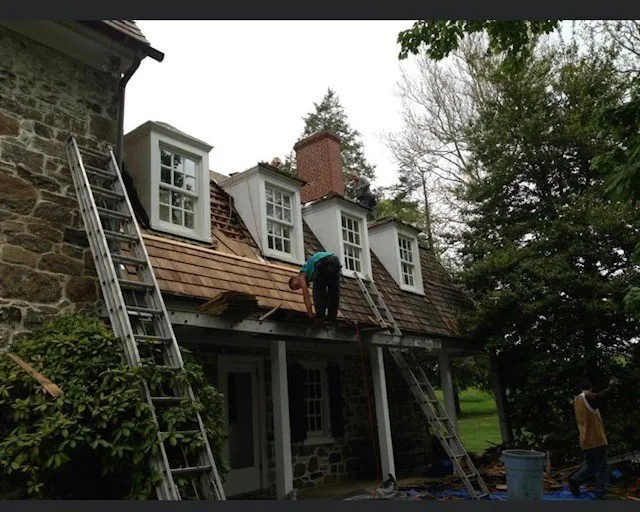 Slide of RFS Enterprises