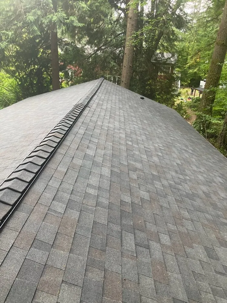 Slide of RG Roofing Pros