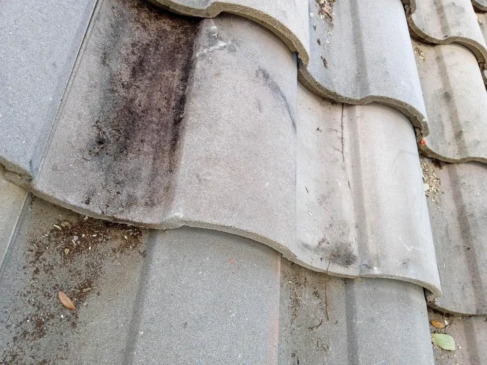 Slide of RGR Rod Guy Roofer