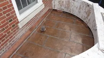 Slide of RGT Enterprises