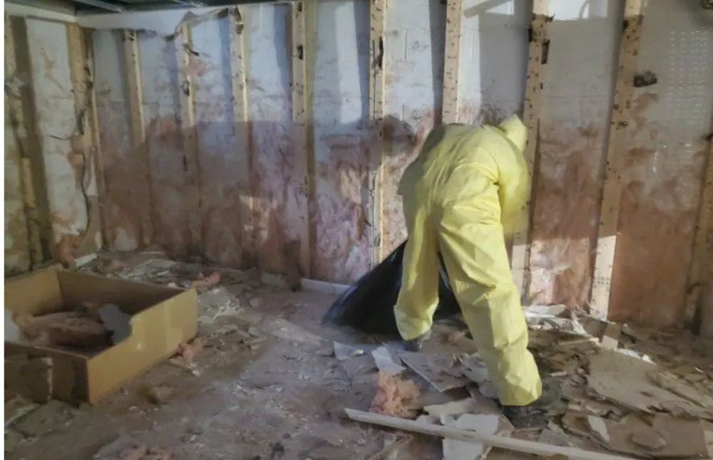 Slide of Rheacon Solutions