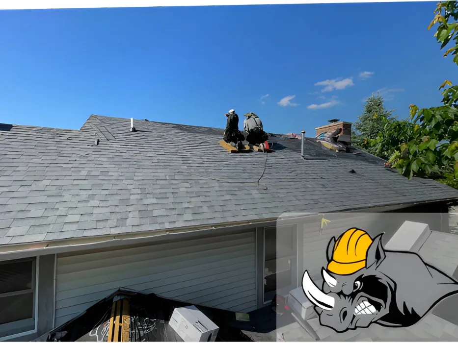 Slide of Rhino City Construction