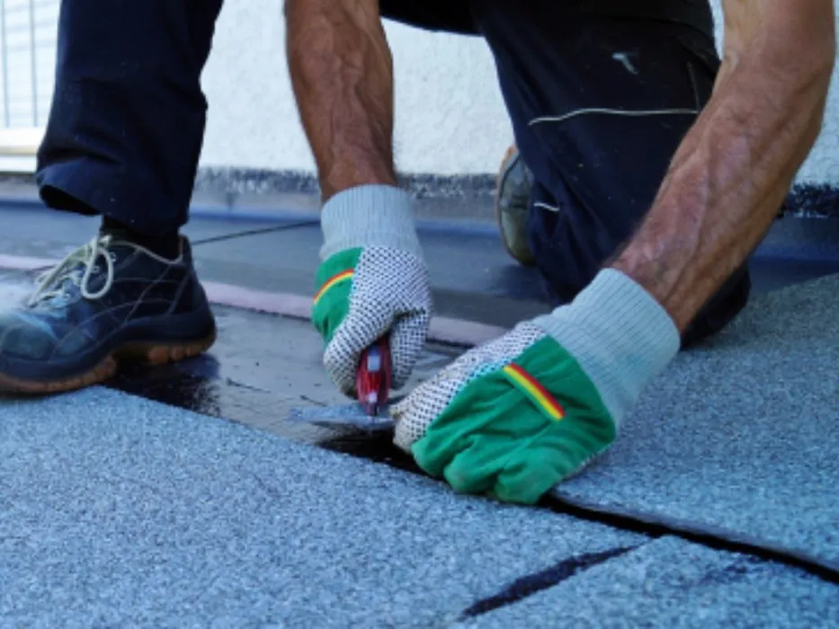 Slide of Rhino City Construction